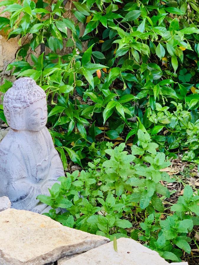 Appartement Avec Jardin Privatif Cazouls-les-Beziers Экстерьер фото
